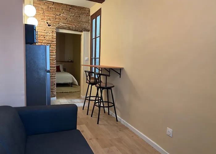 Apartment Jolie T2 Quartier St Jean Proche Place Republique Perpignan